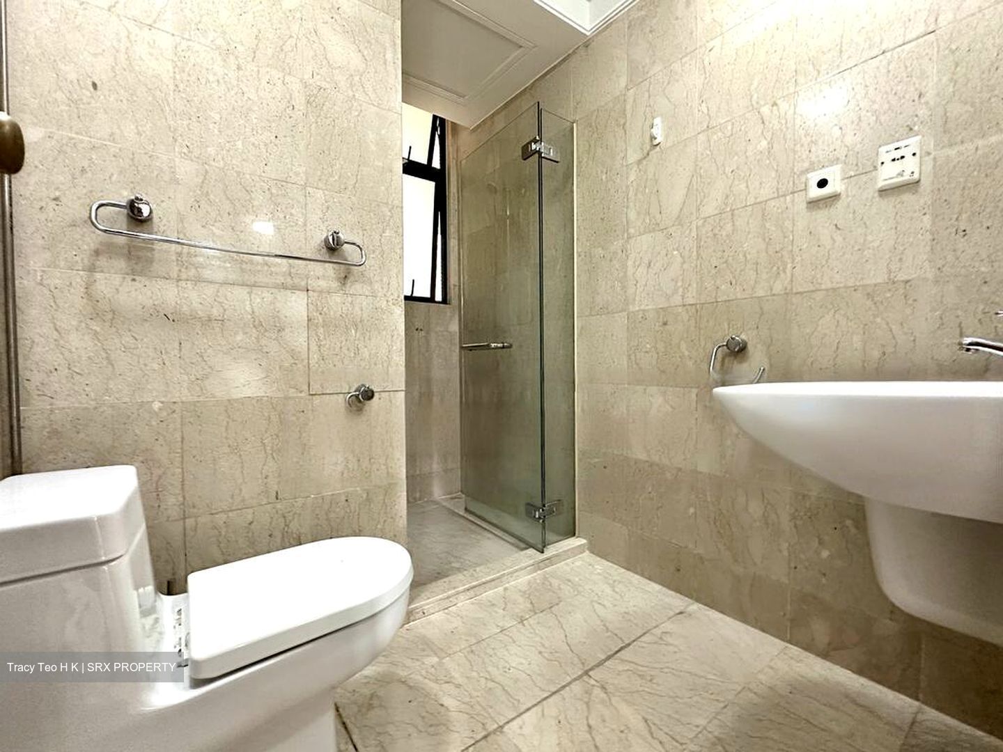 Valley Park (D10), Condominium #467711351